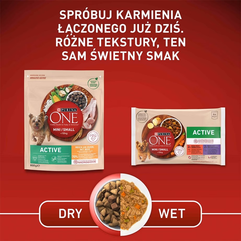 Koera kuivtoit PURINA NESTLE PURINA One Mini/Small Active kana ja riisiga, 800 g - 2