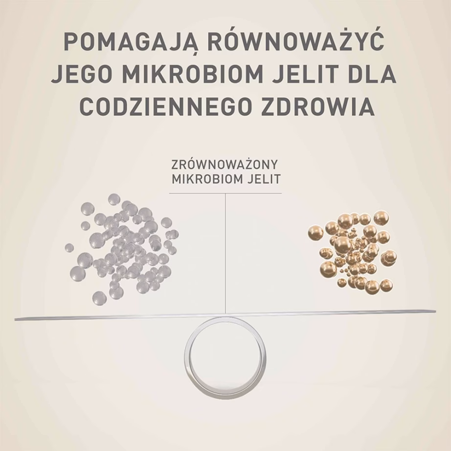 Koera kuivtoit PURINA NESTLE PURINA One Mini/Small Active kana ja riisiga, 800 g - 4
