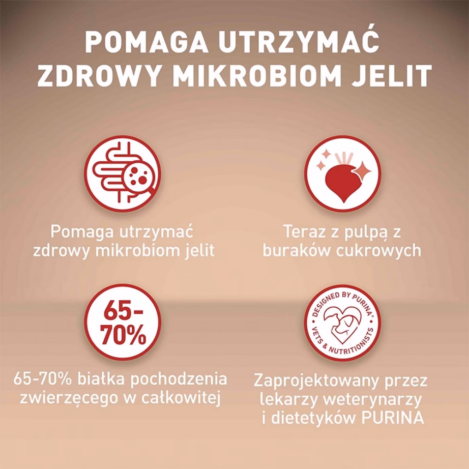Koera kuivtoit PURINA NESTLE PURINA One Mini/Small Active kana ja riisiga, 800 g - 5