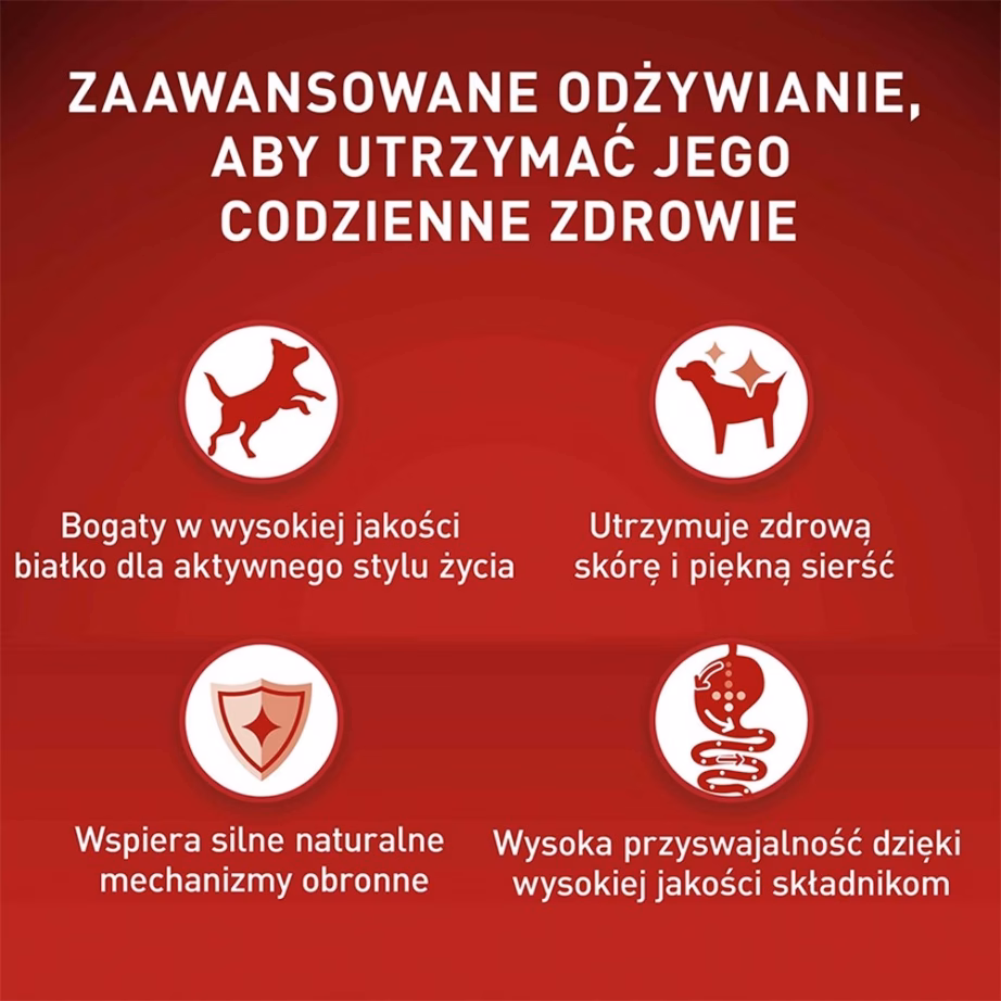 Koera kuivtoit PURINA NESTLE PURINA One Mini/Small Active kana ja riisiga, 800 g - 6