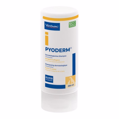 Lemmikloomashampoon Virbac Pyoderm koertele ja kassidele, 250 ml