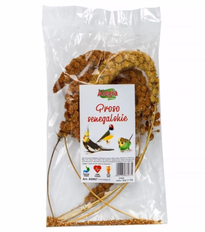Lindude ja väikeloomade maiused