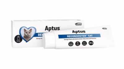 Toidulisandpasta kassidele Aptus Recobooster, 60 g