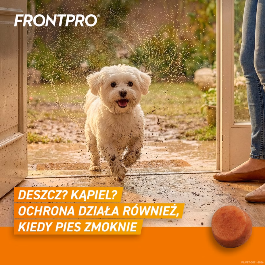 Kirbu- ja puugitabletid koerale FrontPro (2–4 kg), 3 × 11,3 mg - 6