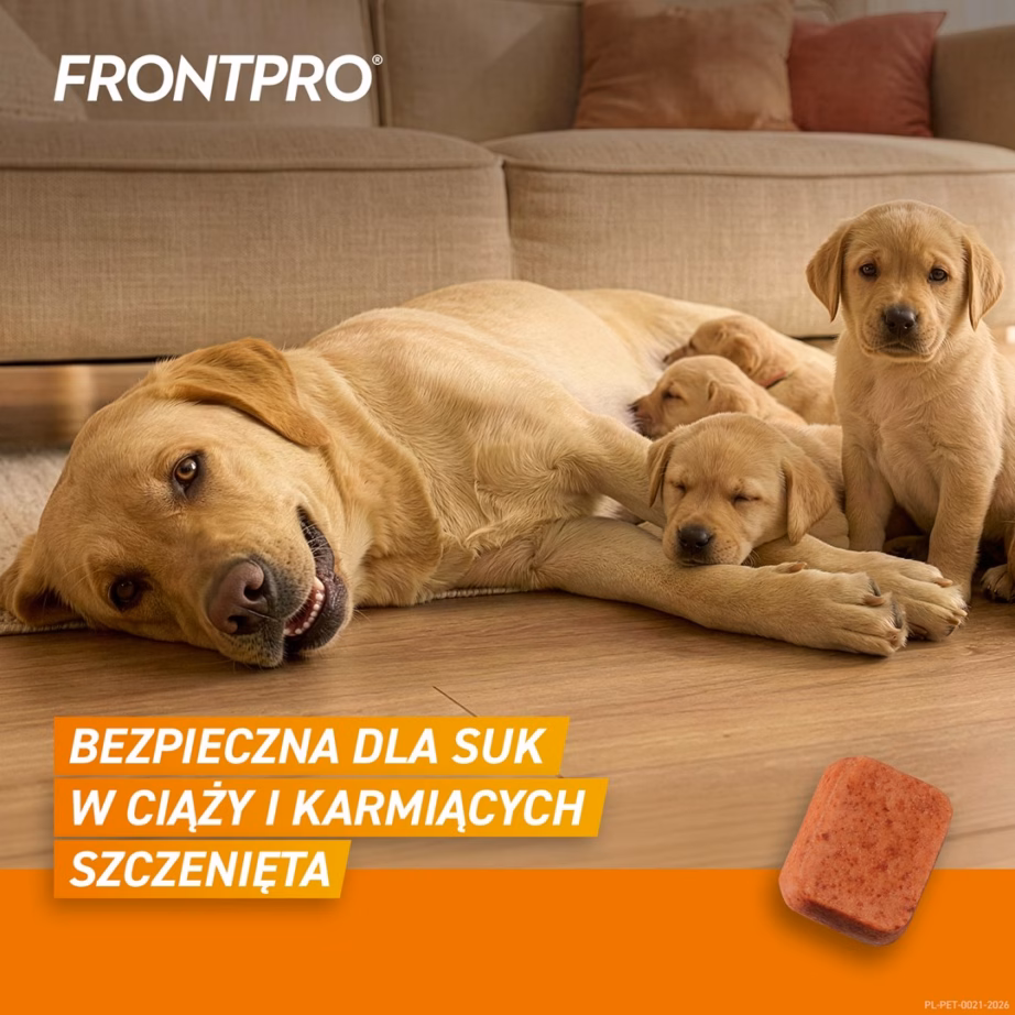 Kirbu- ja puugitõrje närimistabletid FrontPro koerale >25-50 kg, 3 x 136 mg - 3