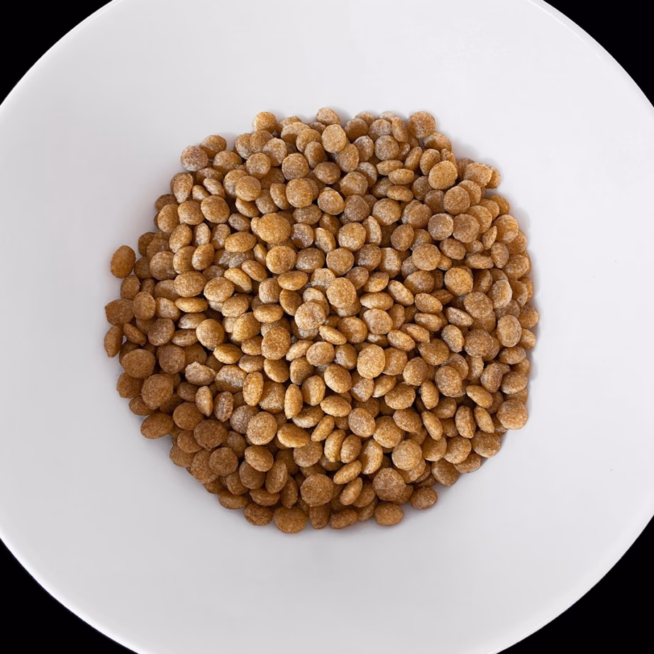 Kuivtoit täiskasvanud kassidele Vet Response Hypoallergenic, veiselihaga, 1,6 kg - 4