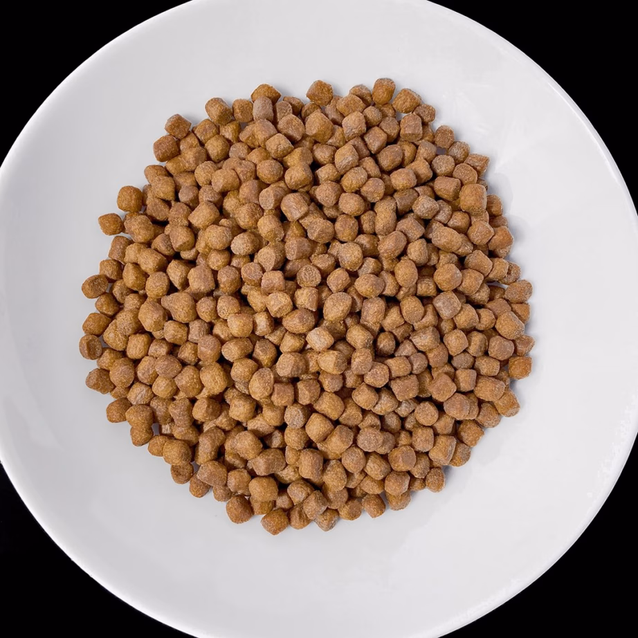 Kuiv koeratoit Vet Response Renal, täissööt dieettoit täiskasvanud koertele, 1,6 kg - 4