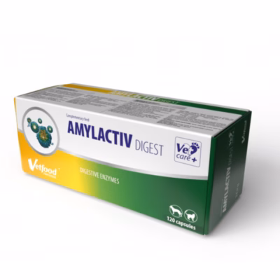 Seede toetavad tabletid Vetfood Amylactiv Digest koertele ja kassidele, 120 tk
