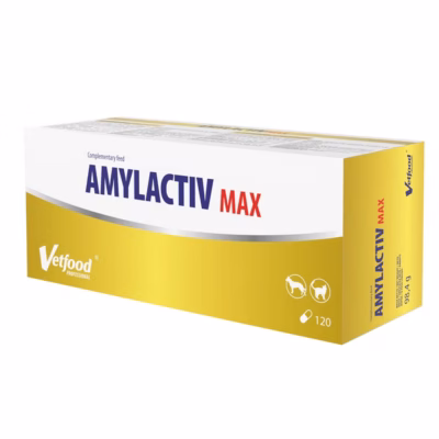 Toidulisand Vetfood Amylactiv Max koertele ja kassidele, 120 tabletti
