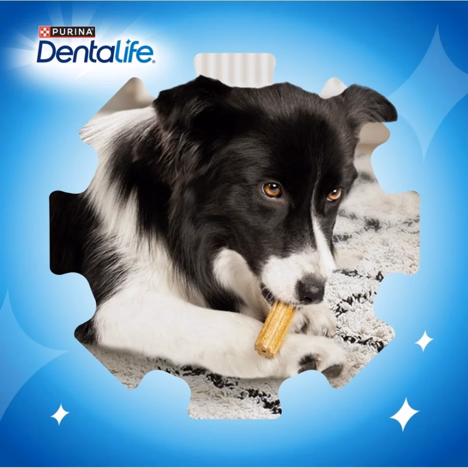 PURINA Dentalife Extra Mini 69 g hambapuhastusmaiustus väikestele koertele - 2