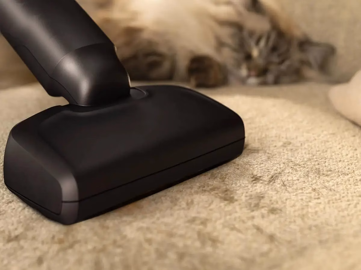 PetPro otsik lemmikloomakarvade kogumiseks