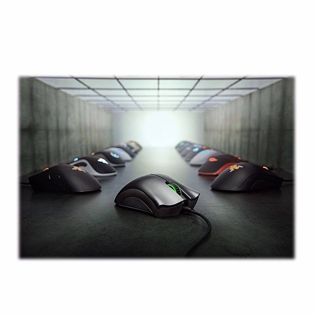 Kaks musta Razer DeathAdder Essential hiirt valgustatud saalis