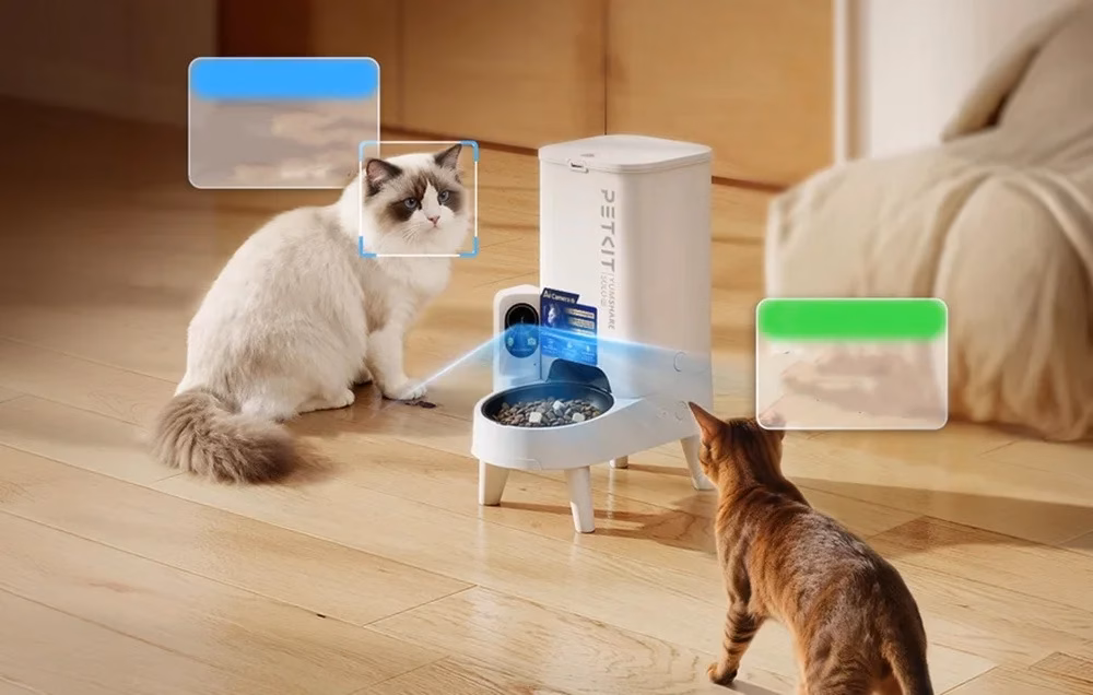 PETKIT Yumshare SOLO 2 tuvastab kahe kassi näo eraldi