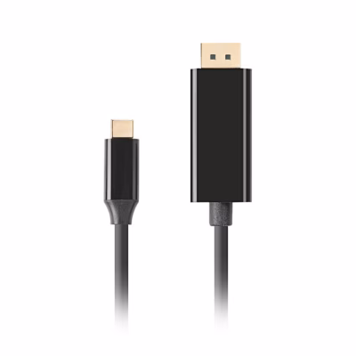 Lanbergi USB-C – DisplayPort kaabli mõlemad pistikud kõrvuti püstises vaates