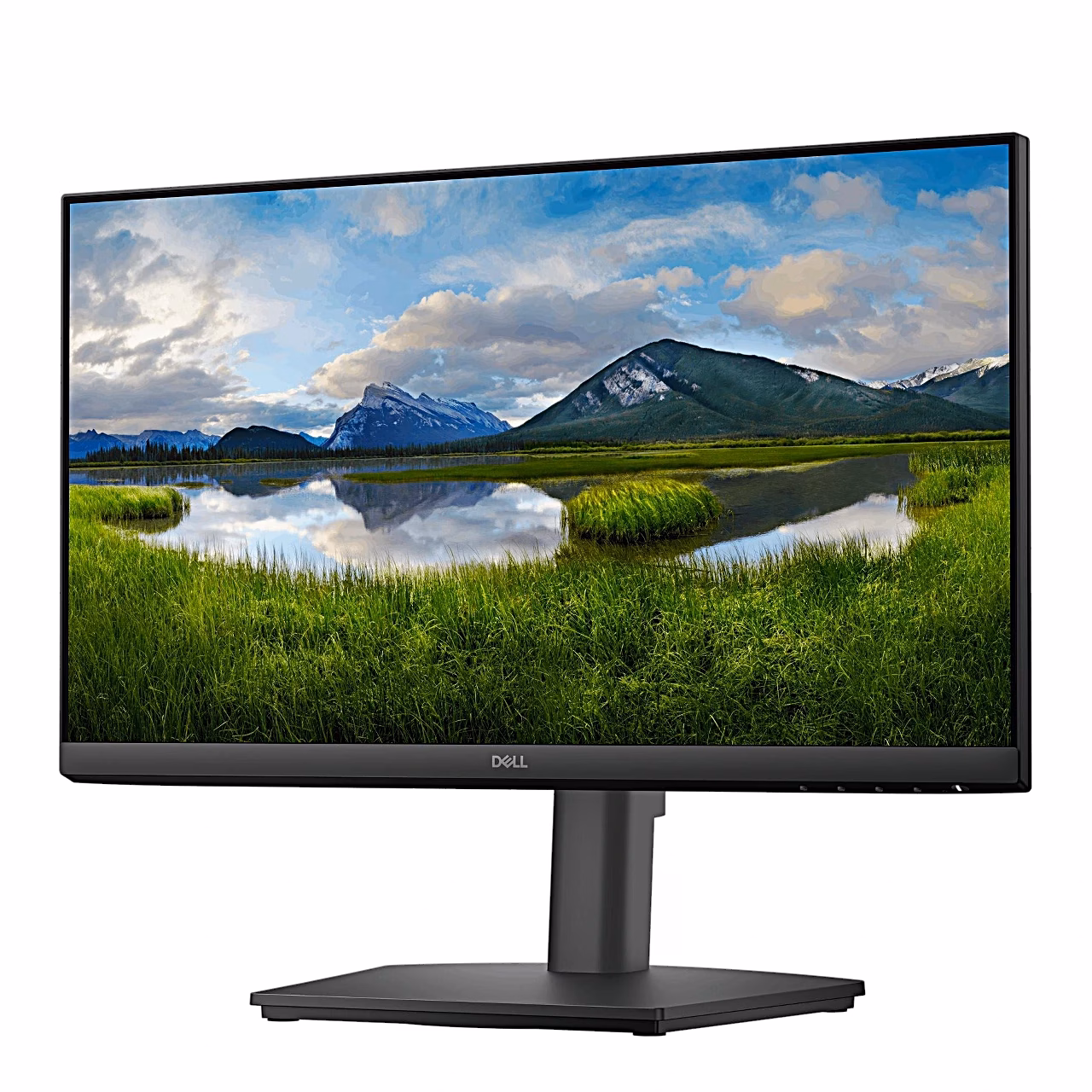 Dell E2225HSM monitor maastikupildiga vasakult poolt nurga alt