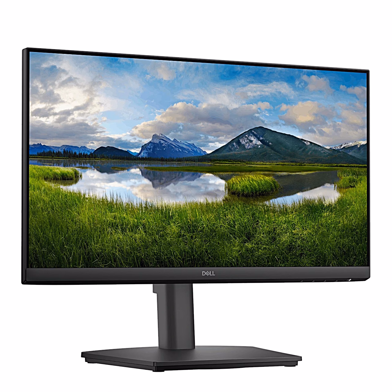 Dell E2225HSM monitor paremalt nurga alt maastikupildiga ekraanil