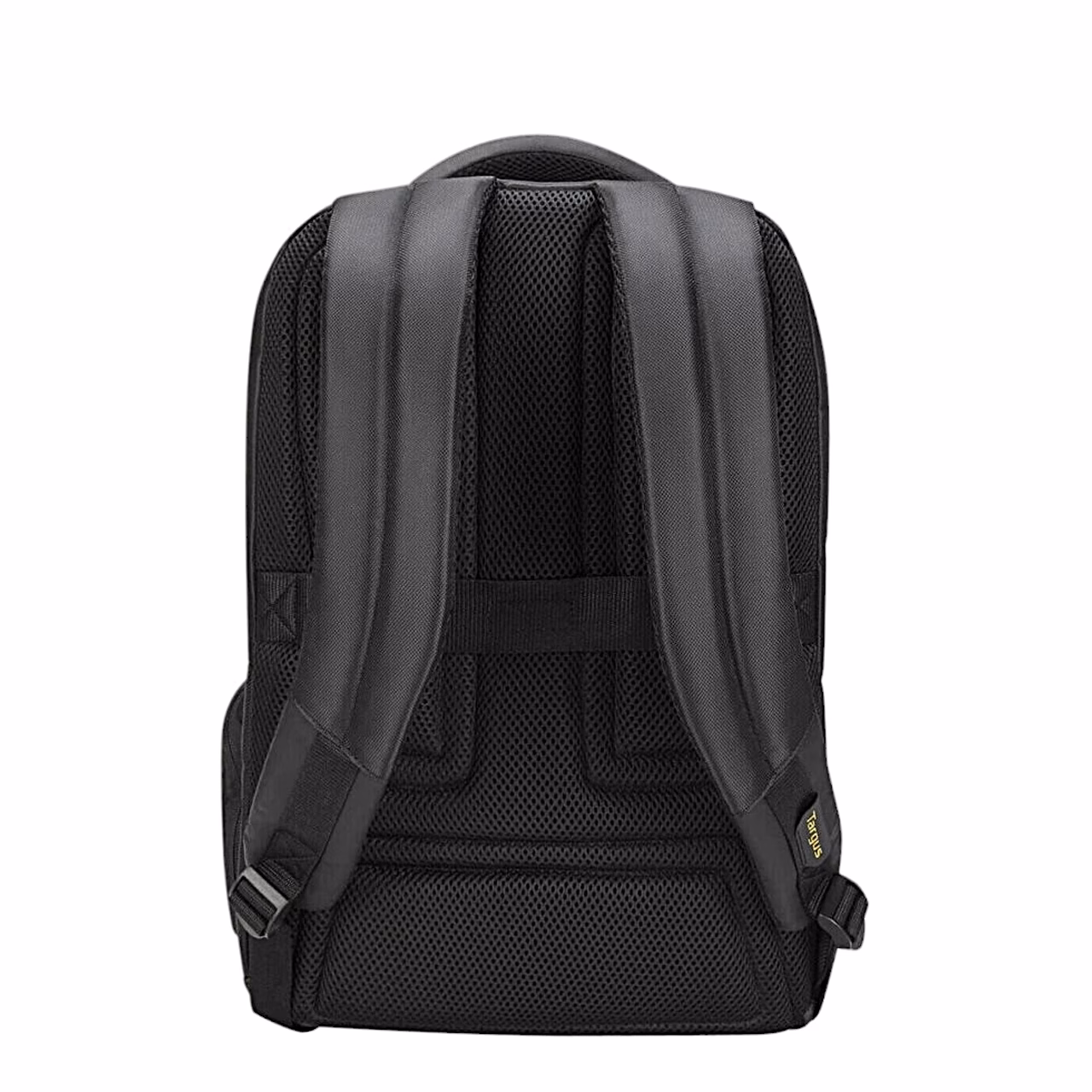 Targus CityGear seljakoti polsterdatud seljaosa tagantvaates